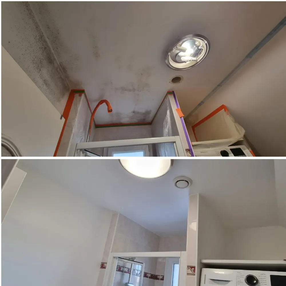 peinture plafond